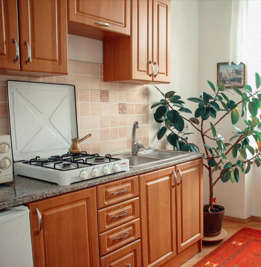 The Heart Of Lviv Apartman Kültér fotó