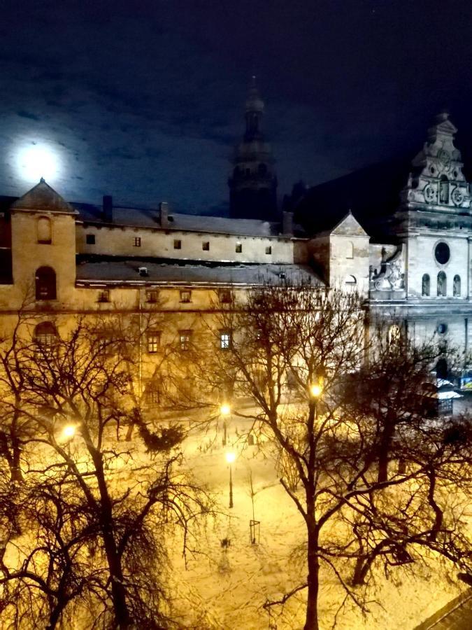 The Heart Of Lviv Apartman Kültér fotó